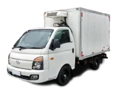 CAMINHÃO PORTE PEQUENO